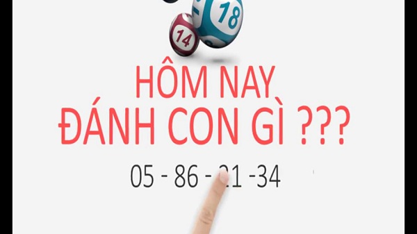 Lô câm đánh đề con gì, số mấy ?